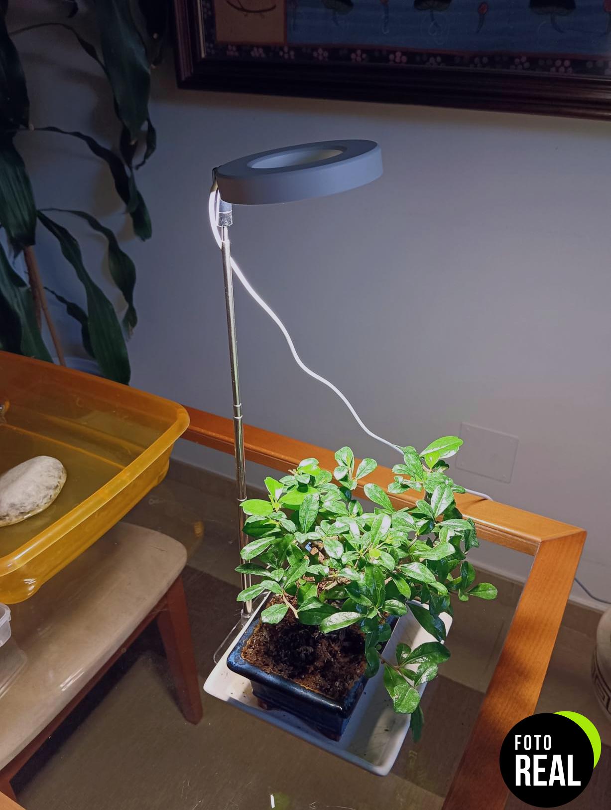 ainiv-lampara-plantas-crecimiento-2pcs-48-led-foto-2