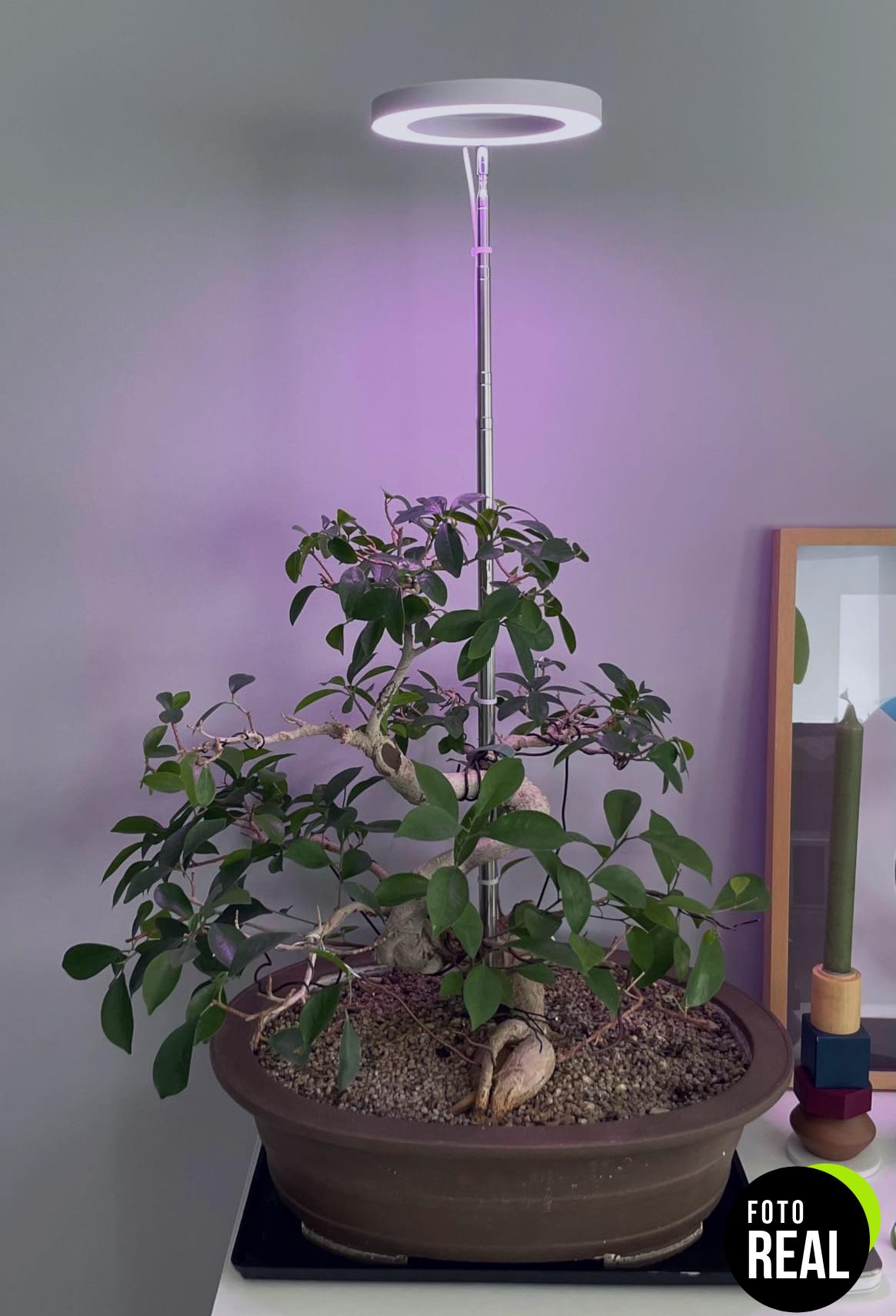 ainiv-lampara-plantas-crecimiento-2pcs-48-led-foto-3
