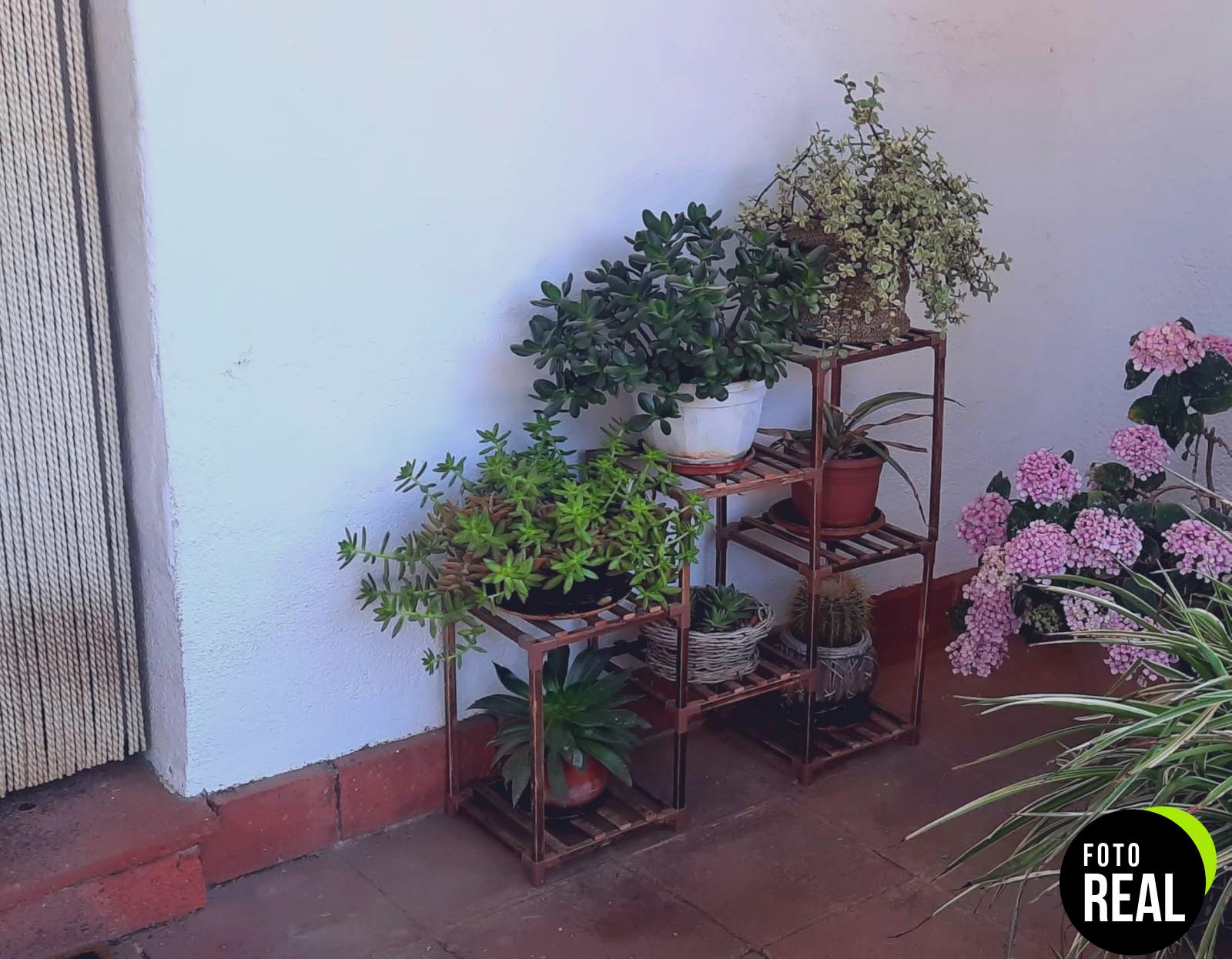 bamworld-soporte-plantas-escalonado-madera-foto-1