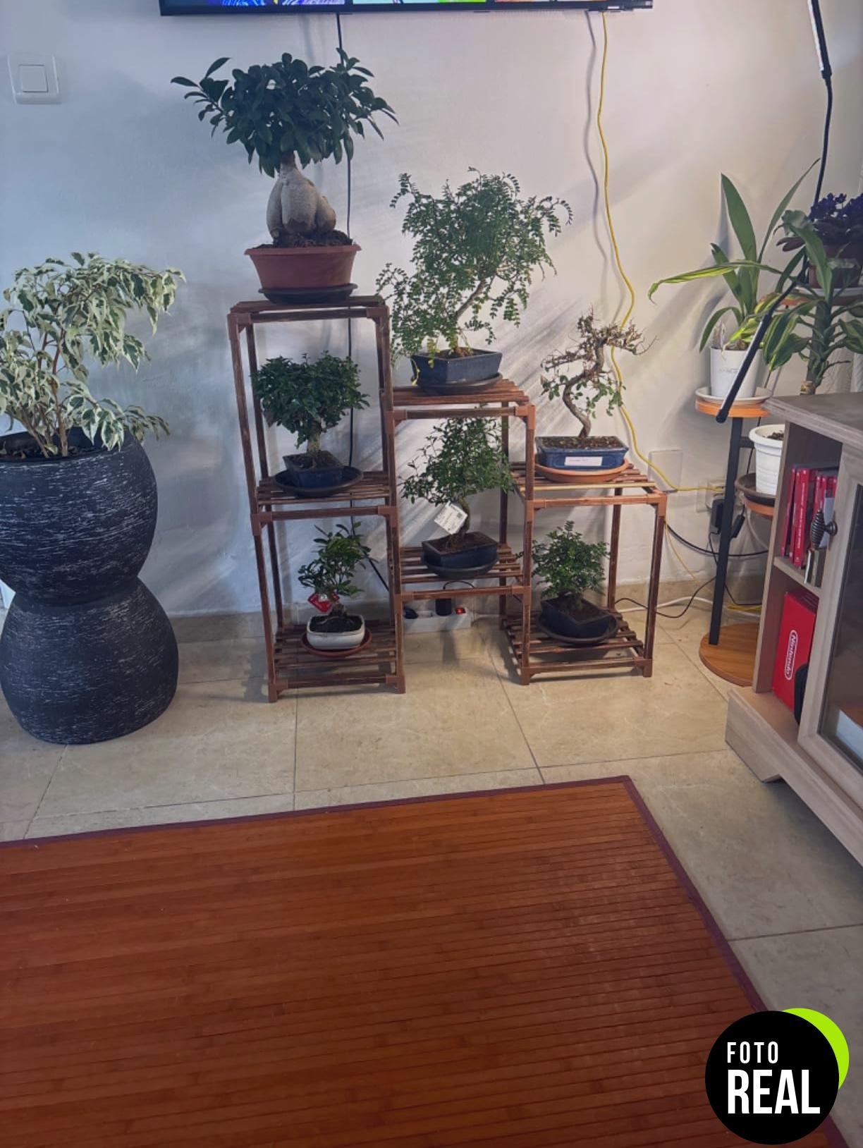 bamworld-soporte-plantas-escalonado-madera-foto-3