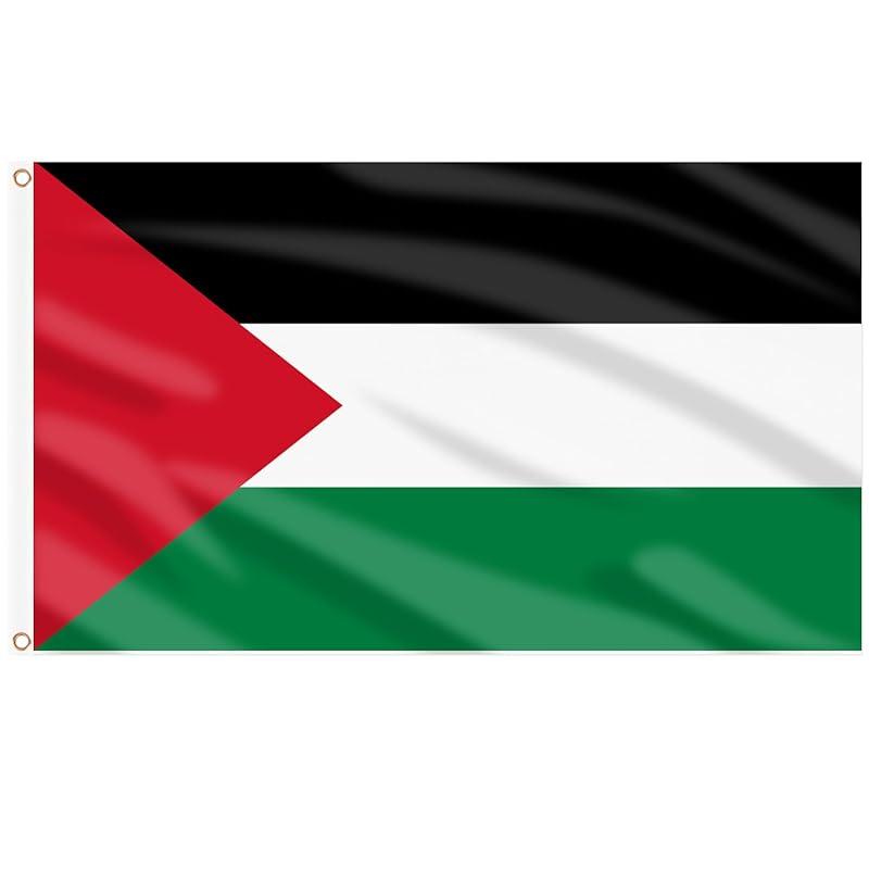 Mi opinión sobre la Bandera Palestina AhfuLife para 2025