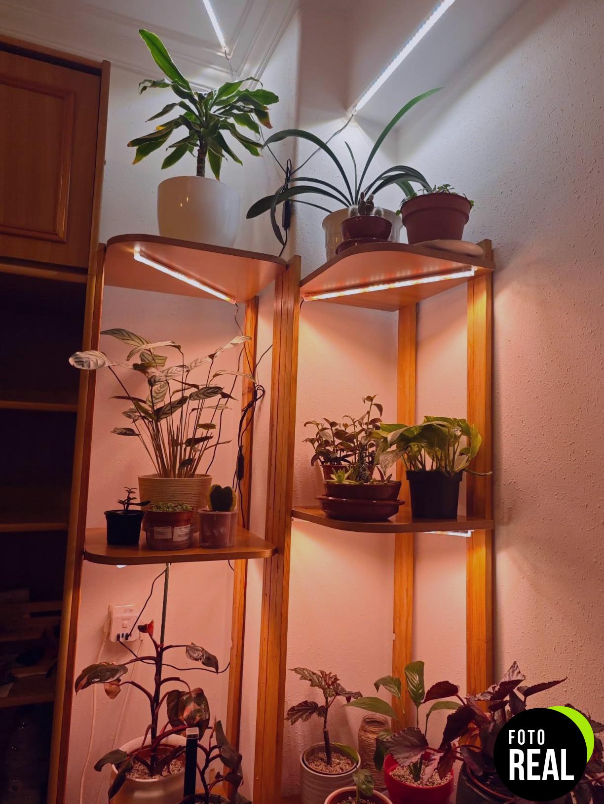 barra-luz-cultivo-plantas-solar-2-barras-foto-2