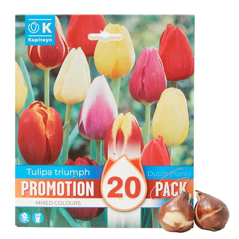 Mi experiencia con los Bulbos Tulipán Mix de Verdecora: ¿Vale la pena?