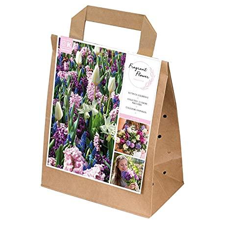Mi opinión sobre los bulbos de flores fragantes: ¡30 unidades para disfrutar!