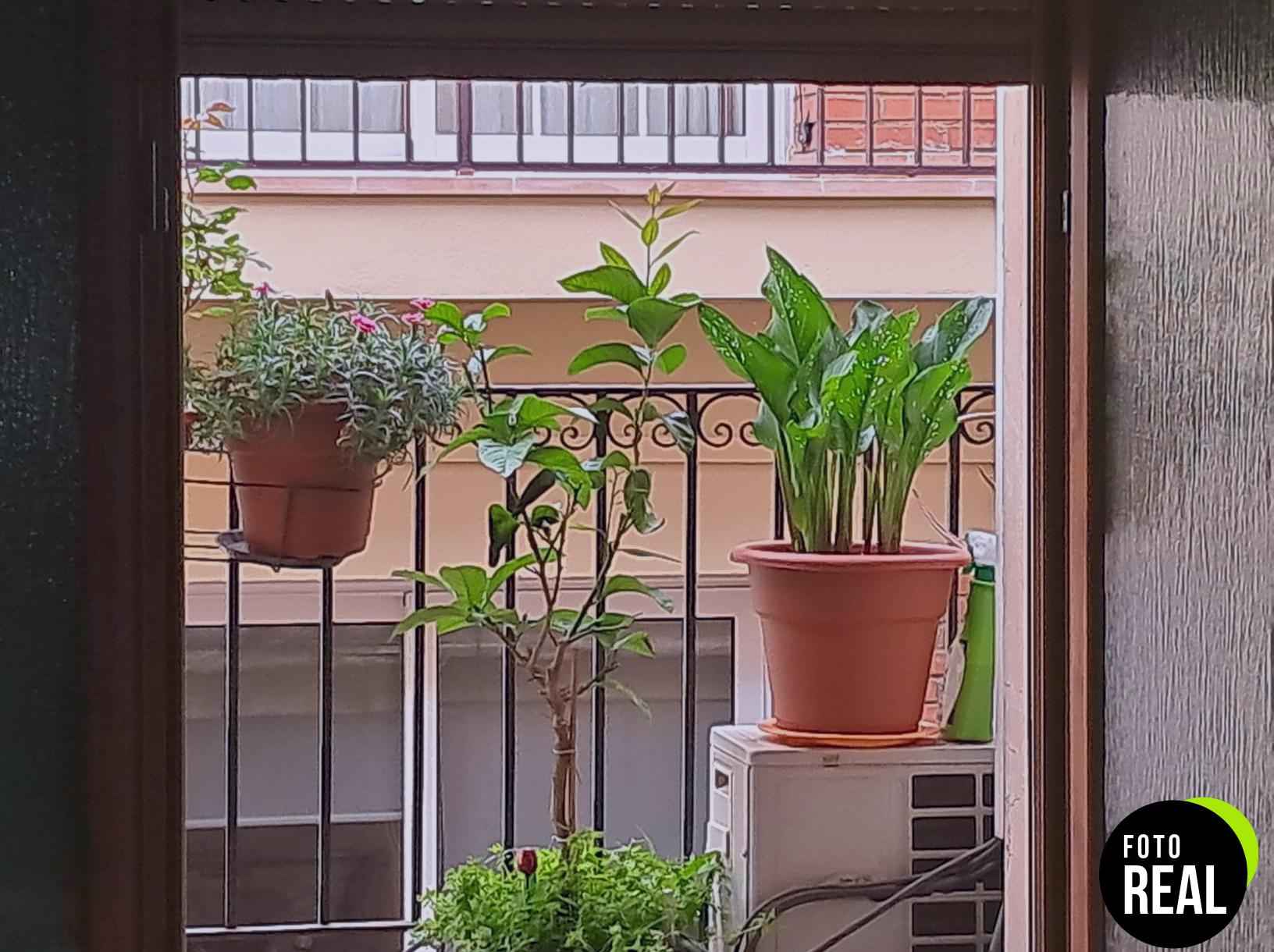 compo-fertilizante-plantas-interior-500ml-foto-1