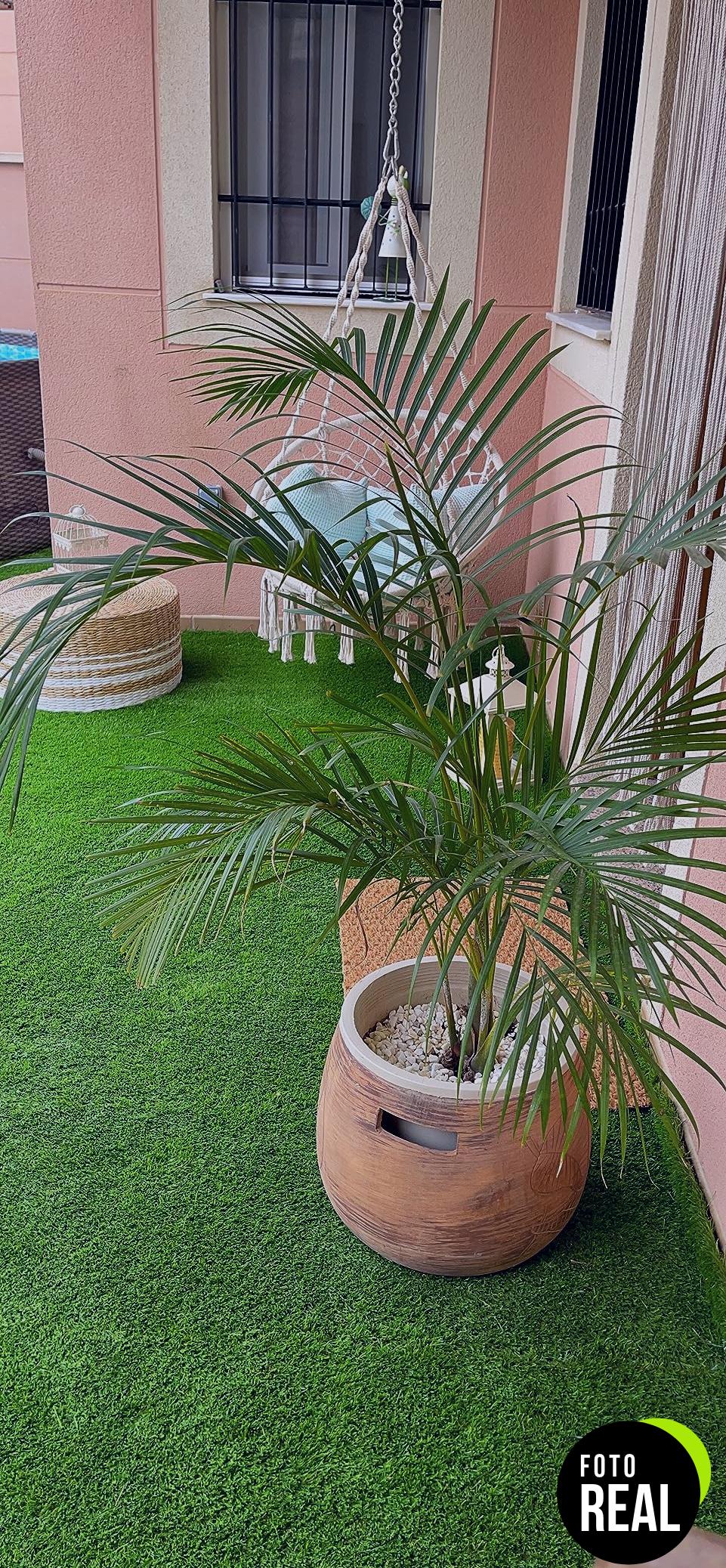 compo-fertilizante-verdes-interior-1-3l-foto-3
