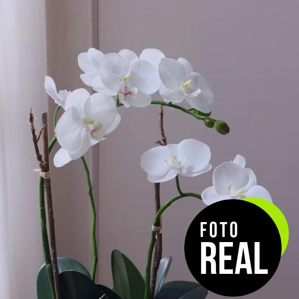 compo-sana-substrato-orquideas-8-semanas-5l-foto-1