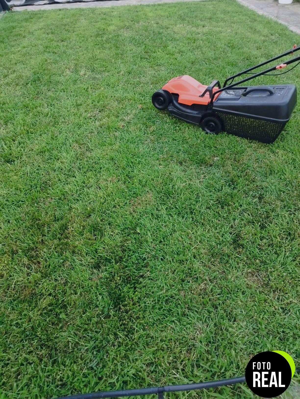cortacesped-blackdecker-1800w-42cm-bemw481bh-foto-2