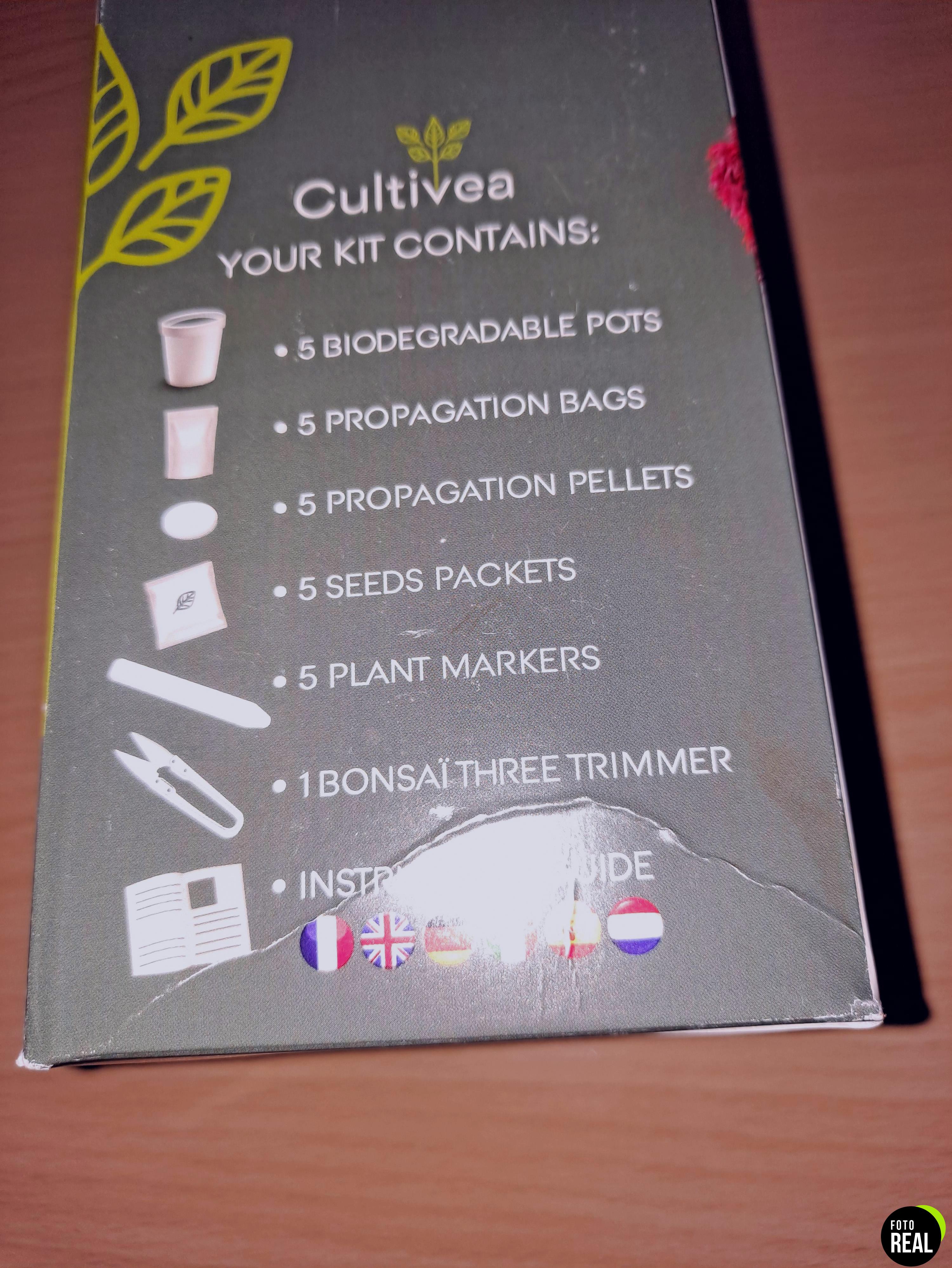 cultivea-kit-bonsai-6-variedades-foto-3