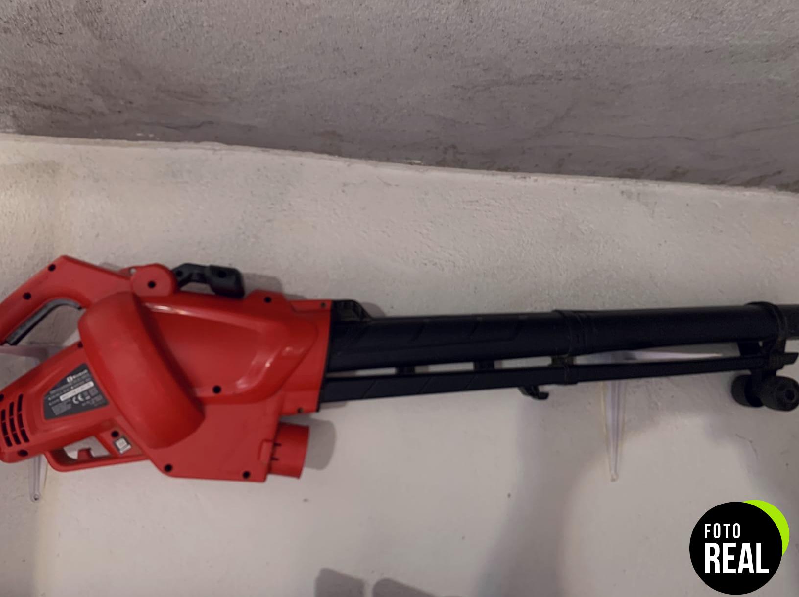 einhell-aspirador-hojas-3024-foto-1