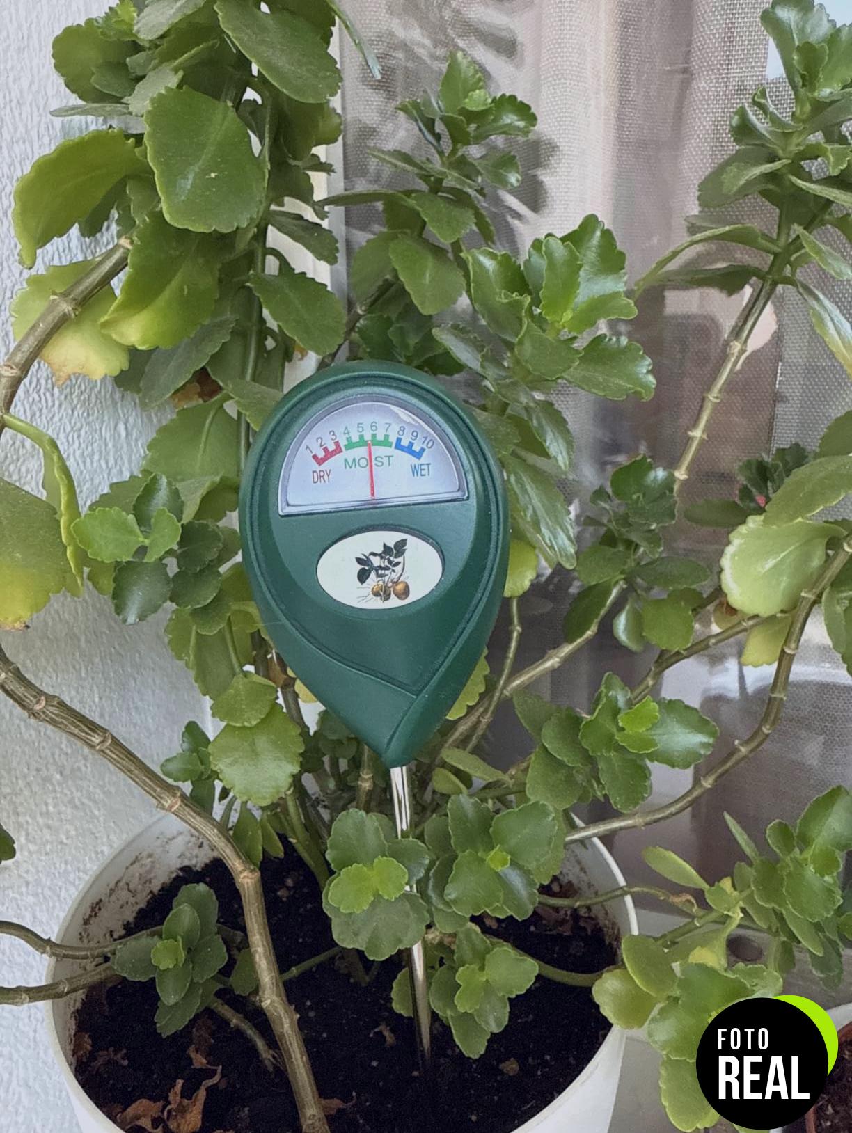 flintronic-medidor-humedad-suelo-jardin-1-foto-1