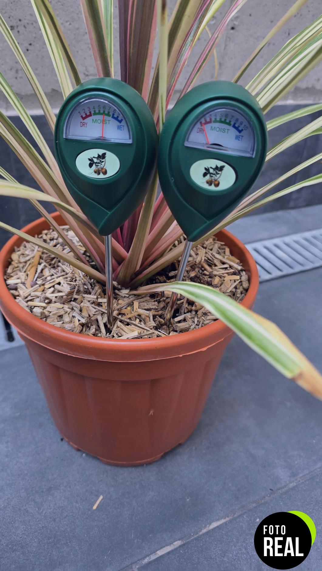 flintronic-medidor-humedad-suelo-jardin-1-foto-3