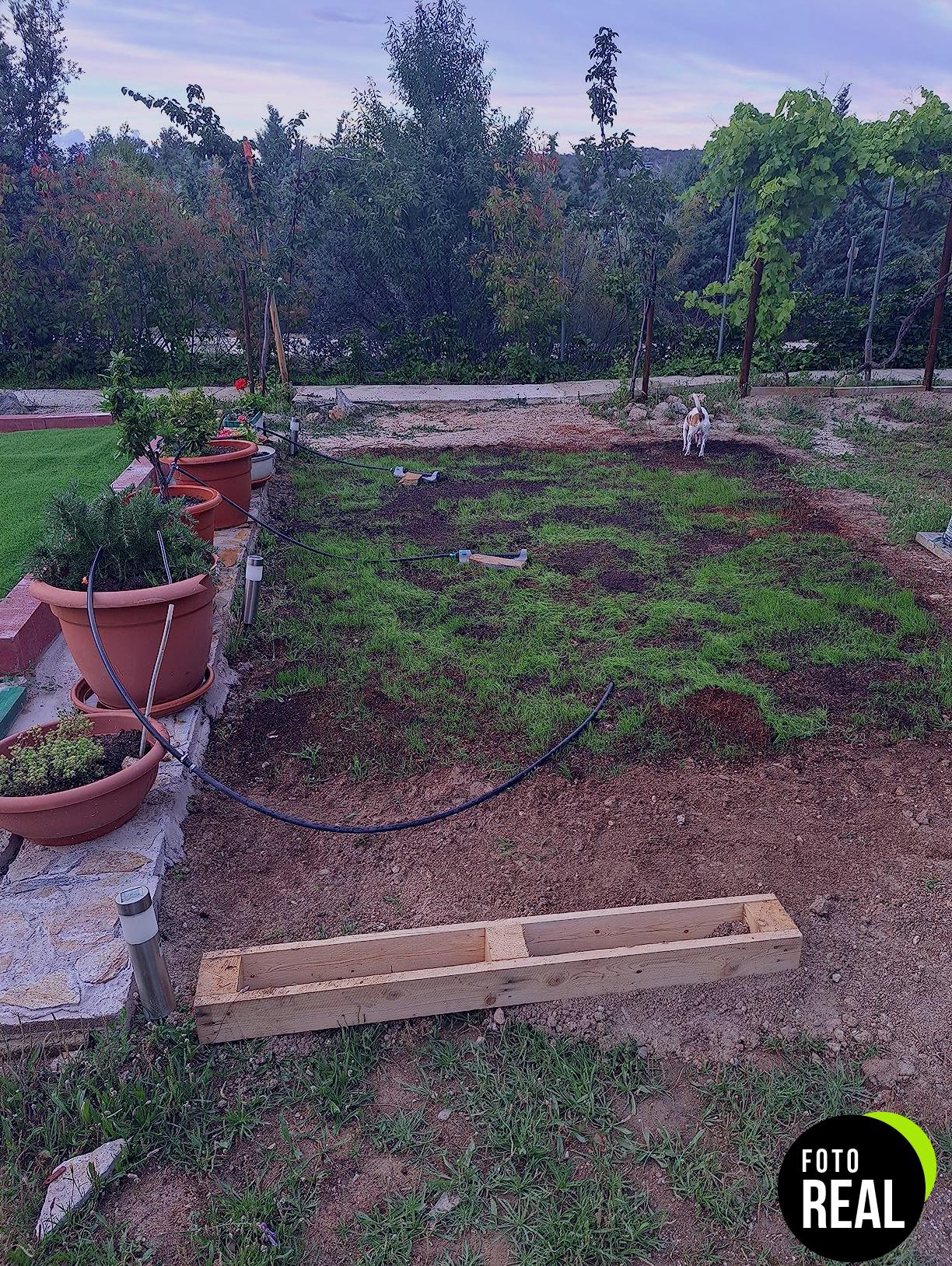 flower-cesped-rustico-1-foto-2