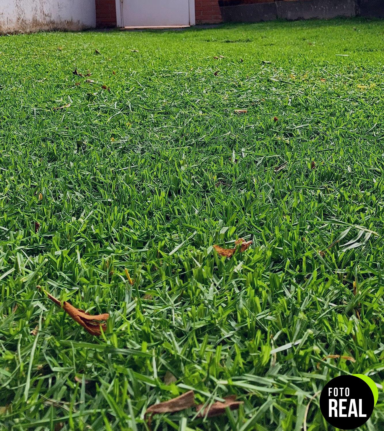 gardena-cesta-recogida-cesped-4029-88-foto-1