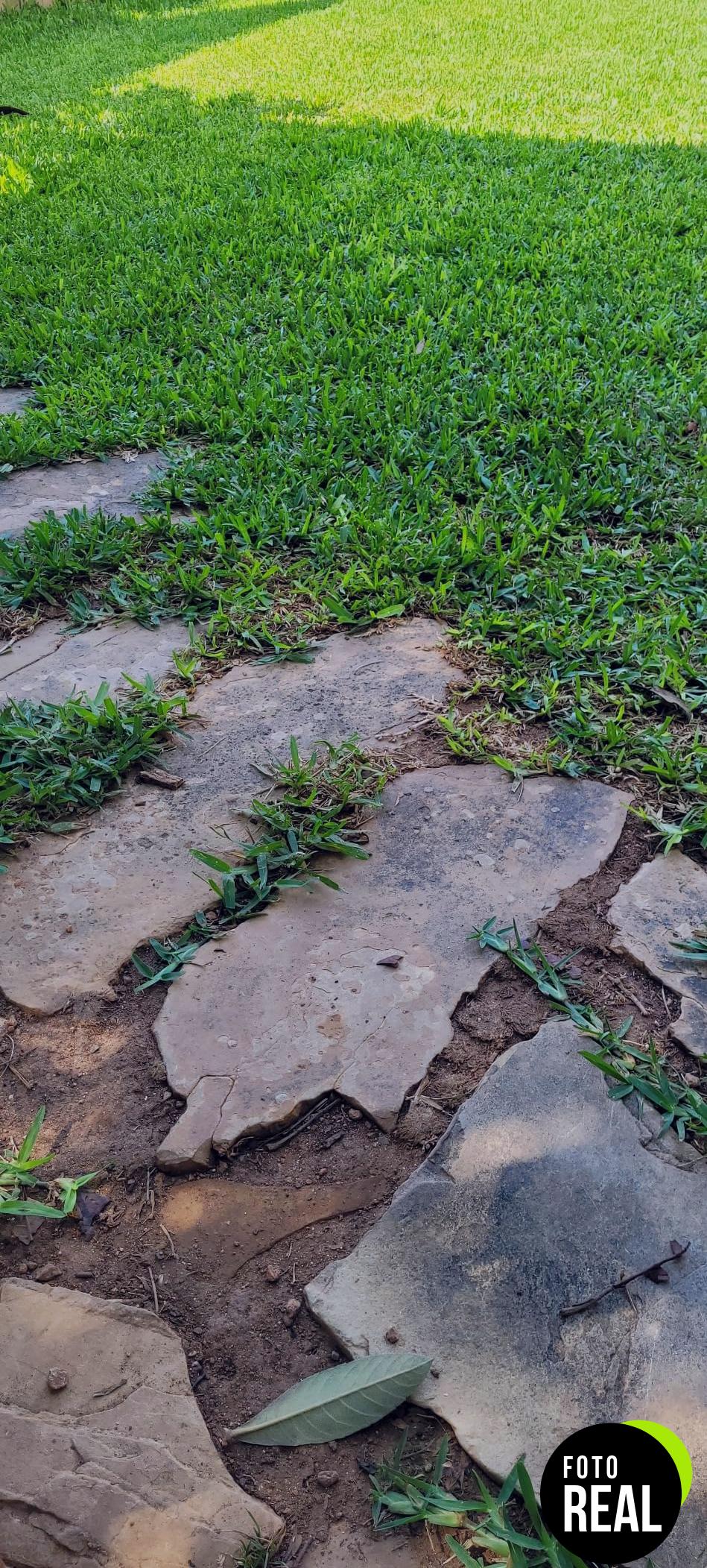 goodyear-cortacesped-electrico-1800w-jardin-foto-2