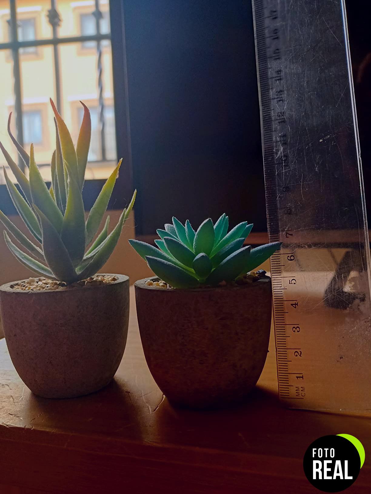 josp-plantas-suculentas-artificiales-8pcs-l-foto-3
