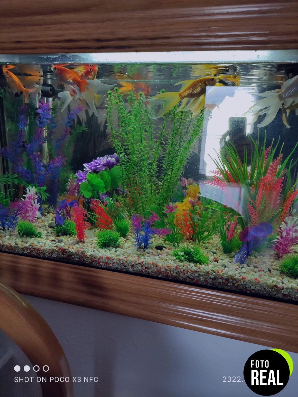 kingrun-plantas-acuaticas-artificiales-l-foto-2