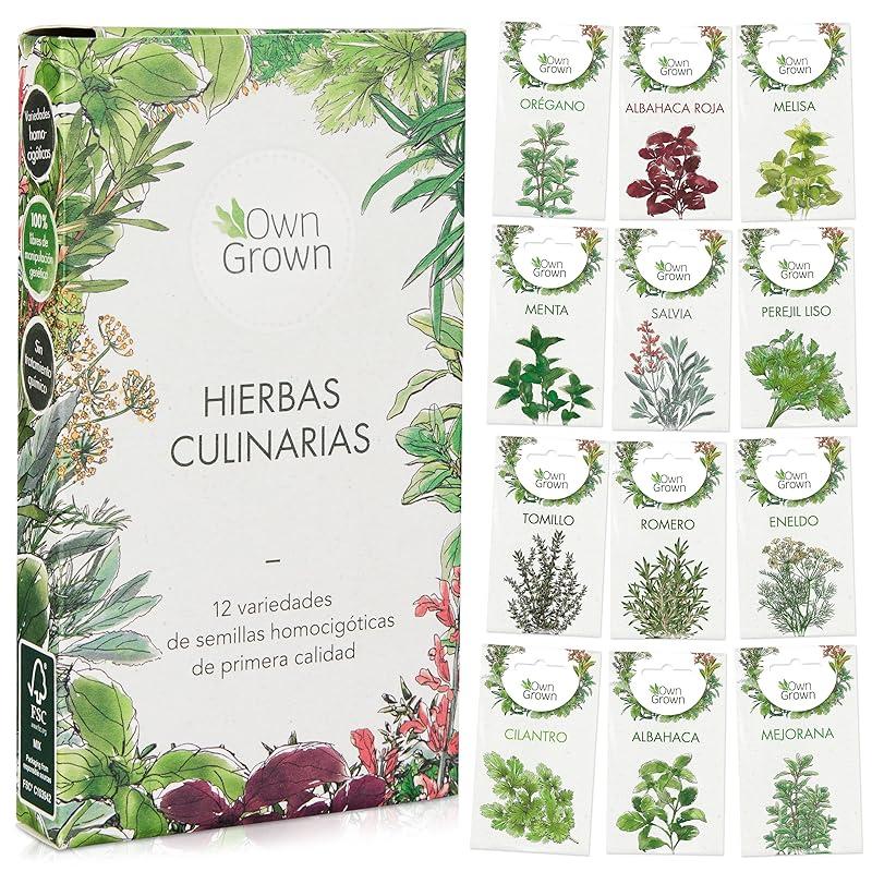 Mi experiencia con el kit de semillas de hierbas aromáticas OwnGrown.