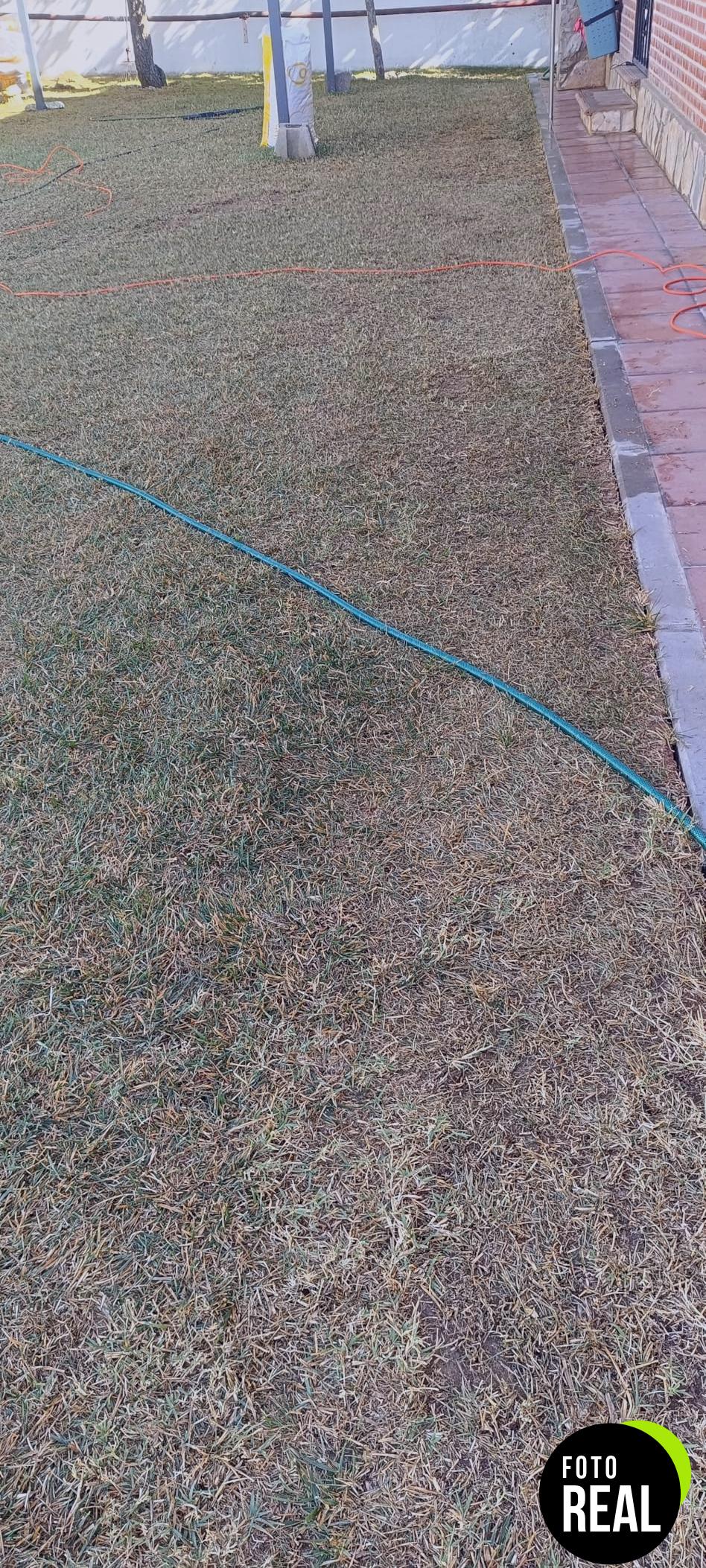 lerava-champion-cesped-resistente-30m2-foto-1