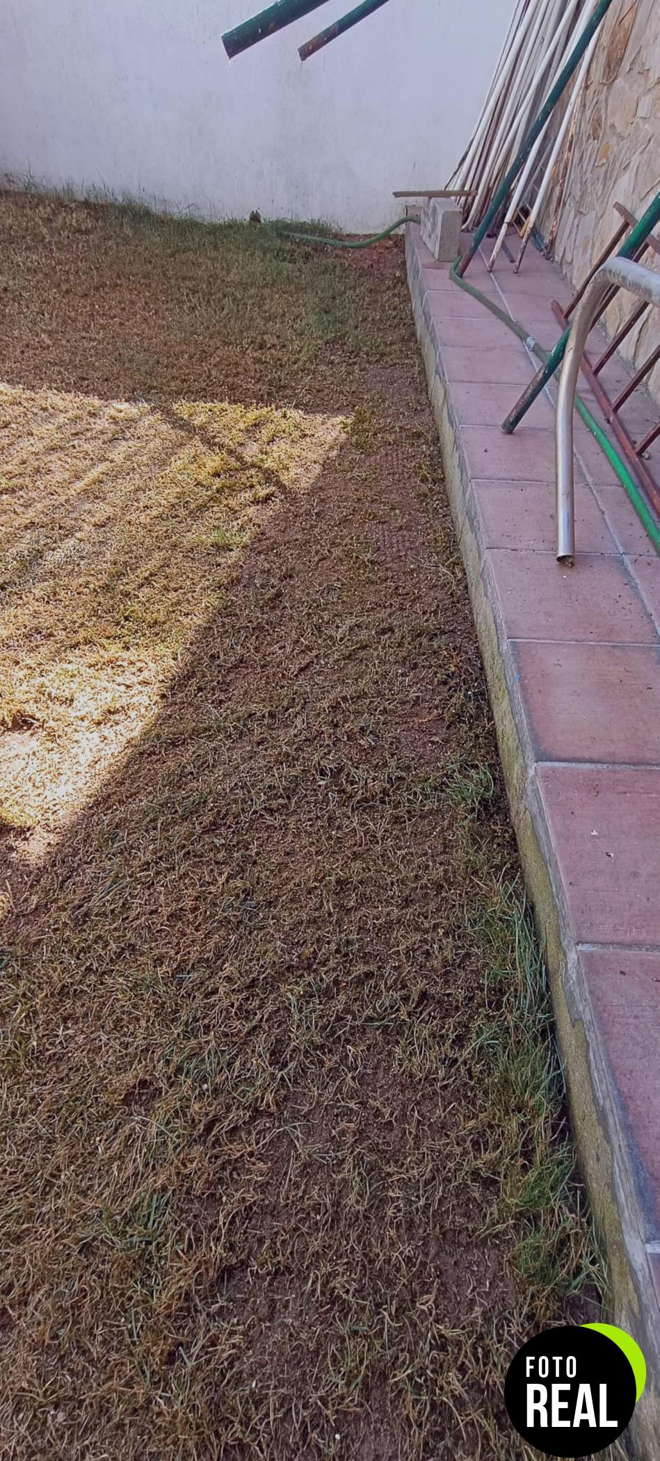 lerava-champion-cesped-resistente-30m2-foto-2