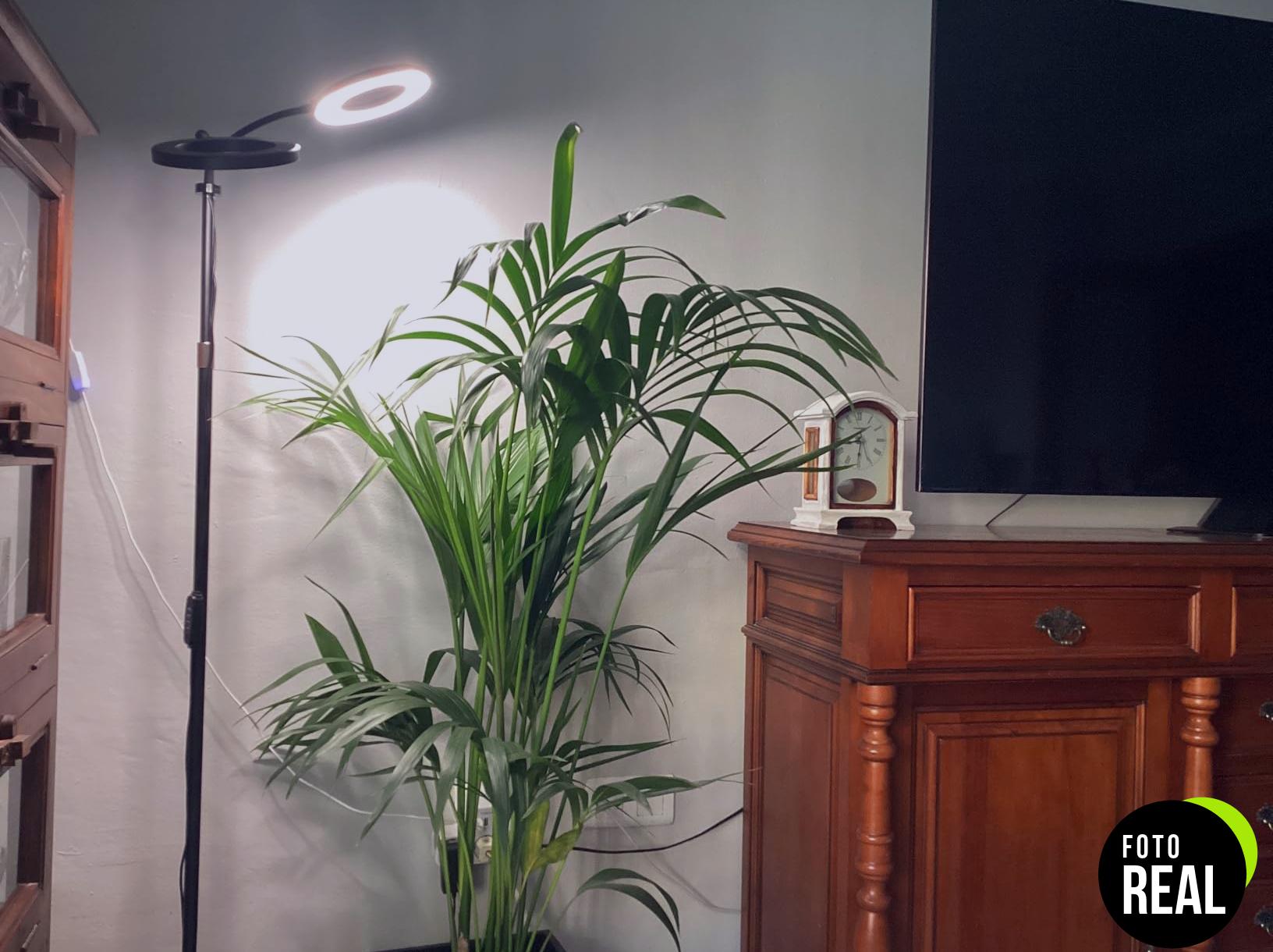 luz-crecimiento-led-plantas-interior-automatica-foto-1