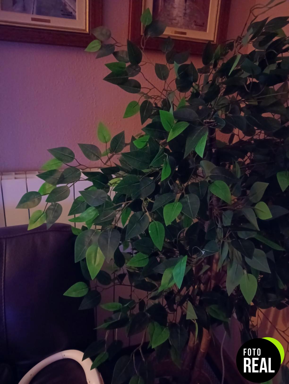 maia-shop-planta-artificial-bambu-150cm-l-foto-3