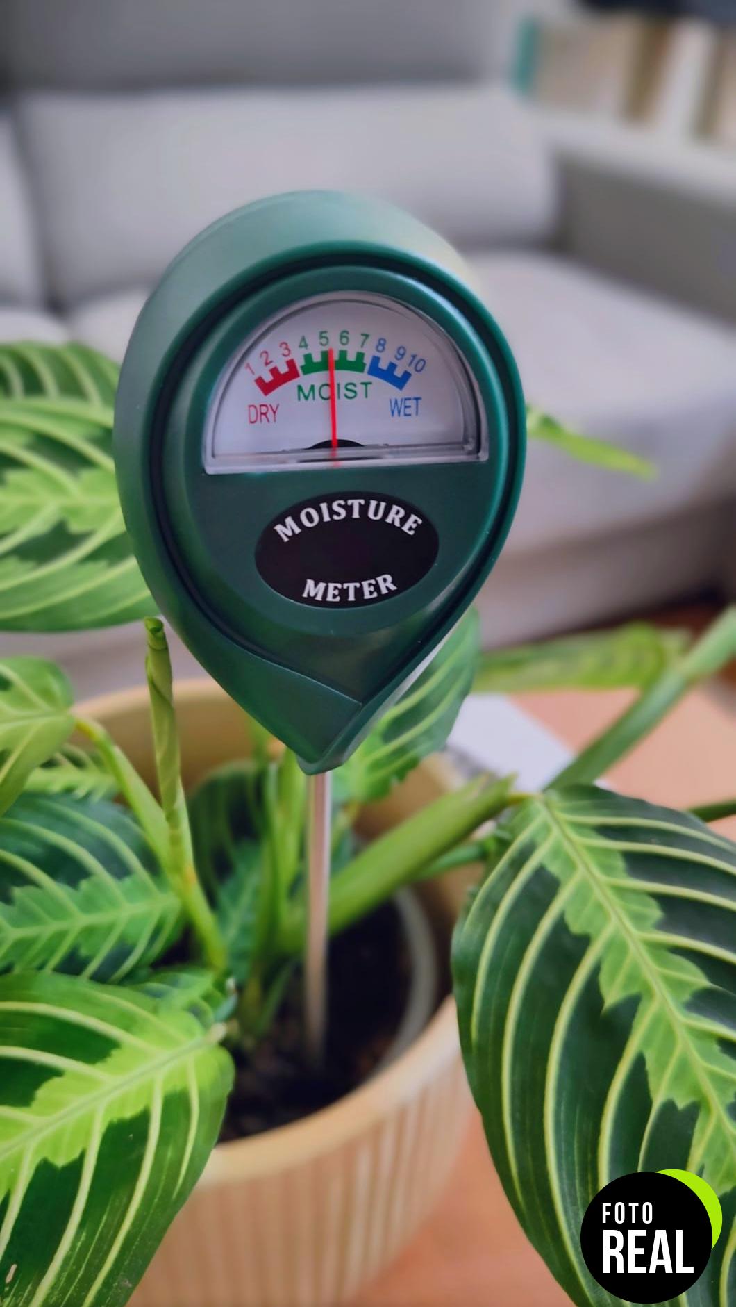 medidor-humedad-plantas-1-sin-baterias-foto-2
