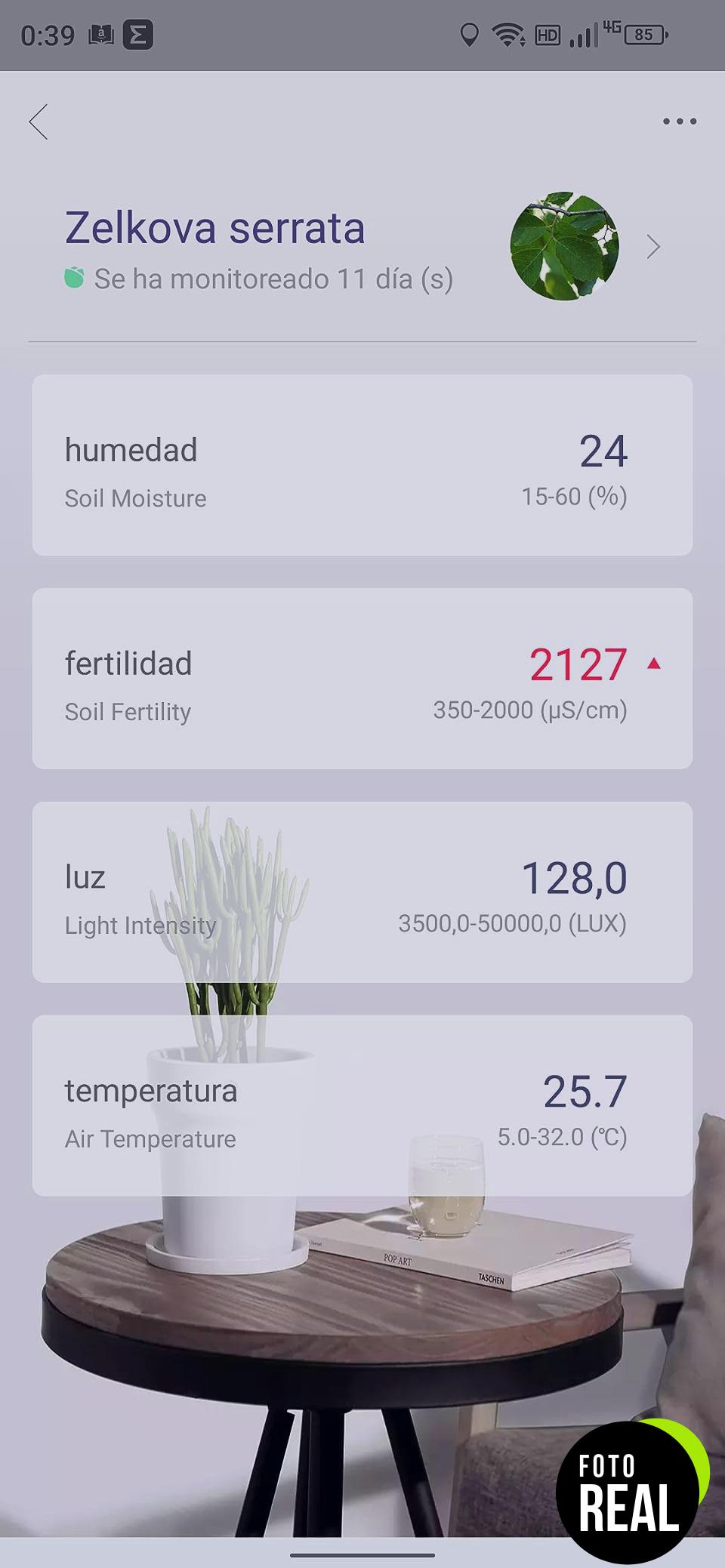 medidor-humedad-plantas-2-pack-mijia-foto-2