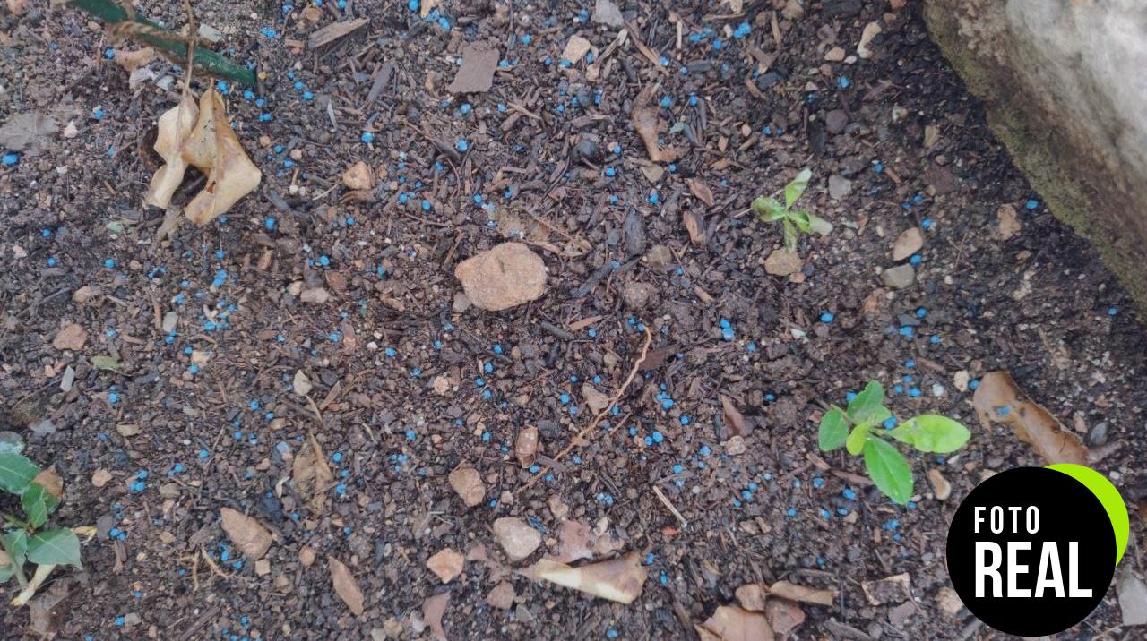 nitroflower-abono-polivalente-azul-750gr-foto-3