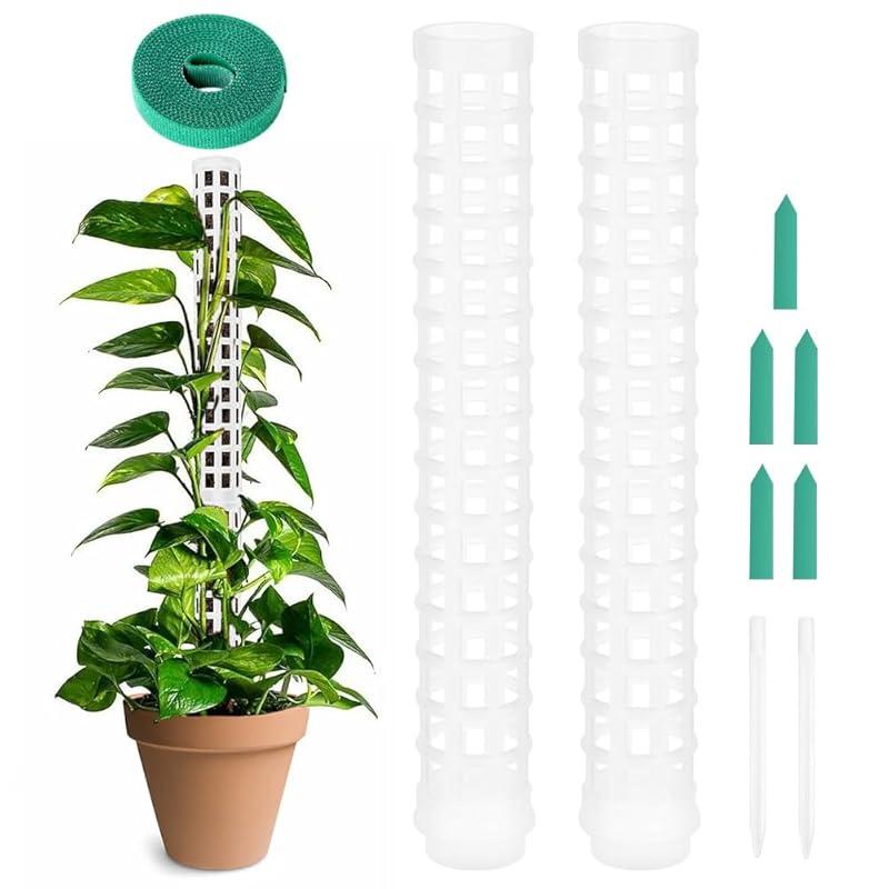 Mi opinión sobre las varillas de musgo OFFCUP para plantas de interior.