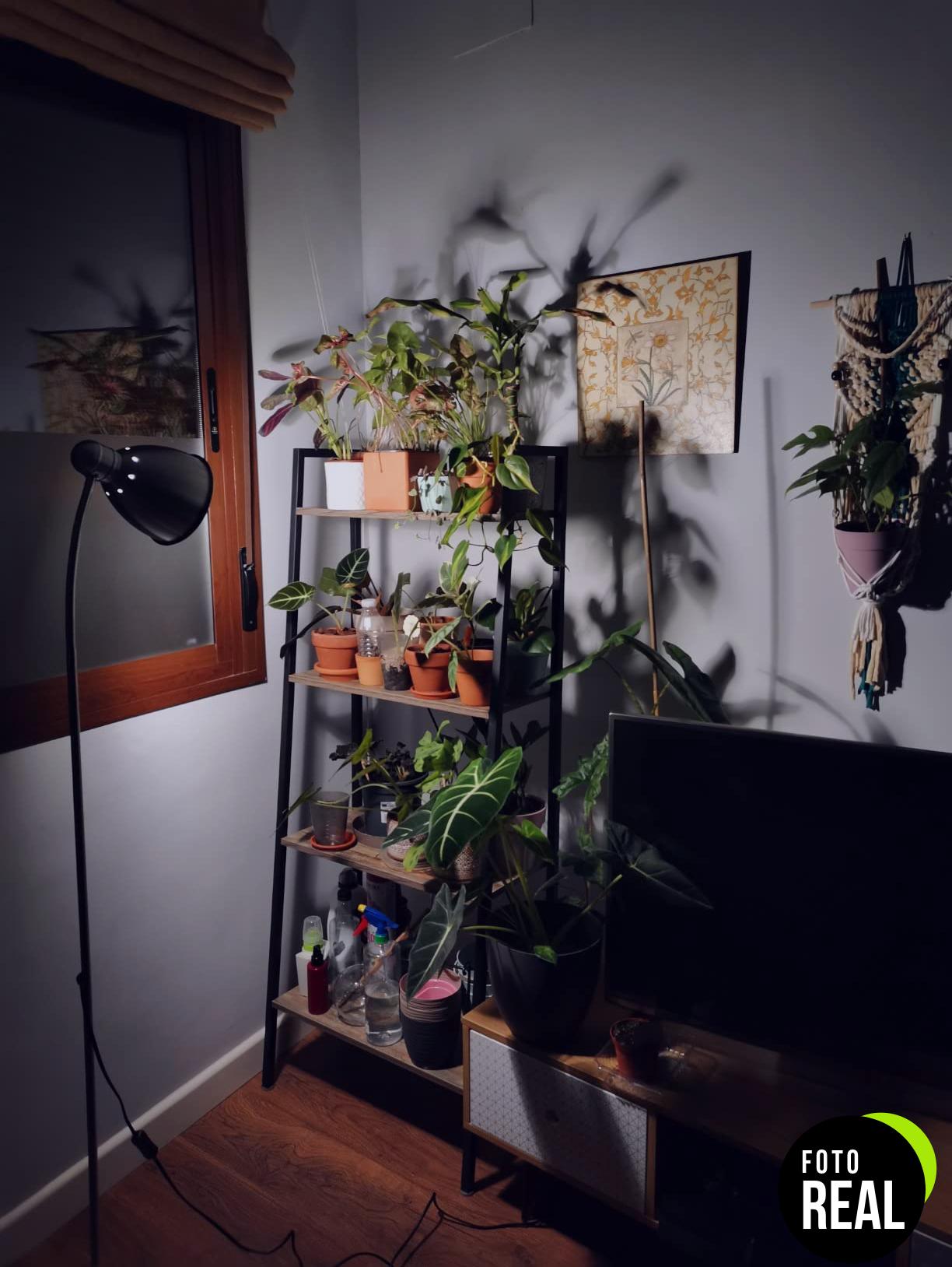 sansi-bombillas-crecimiento-plantas-2pack-foto-2