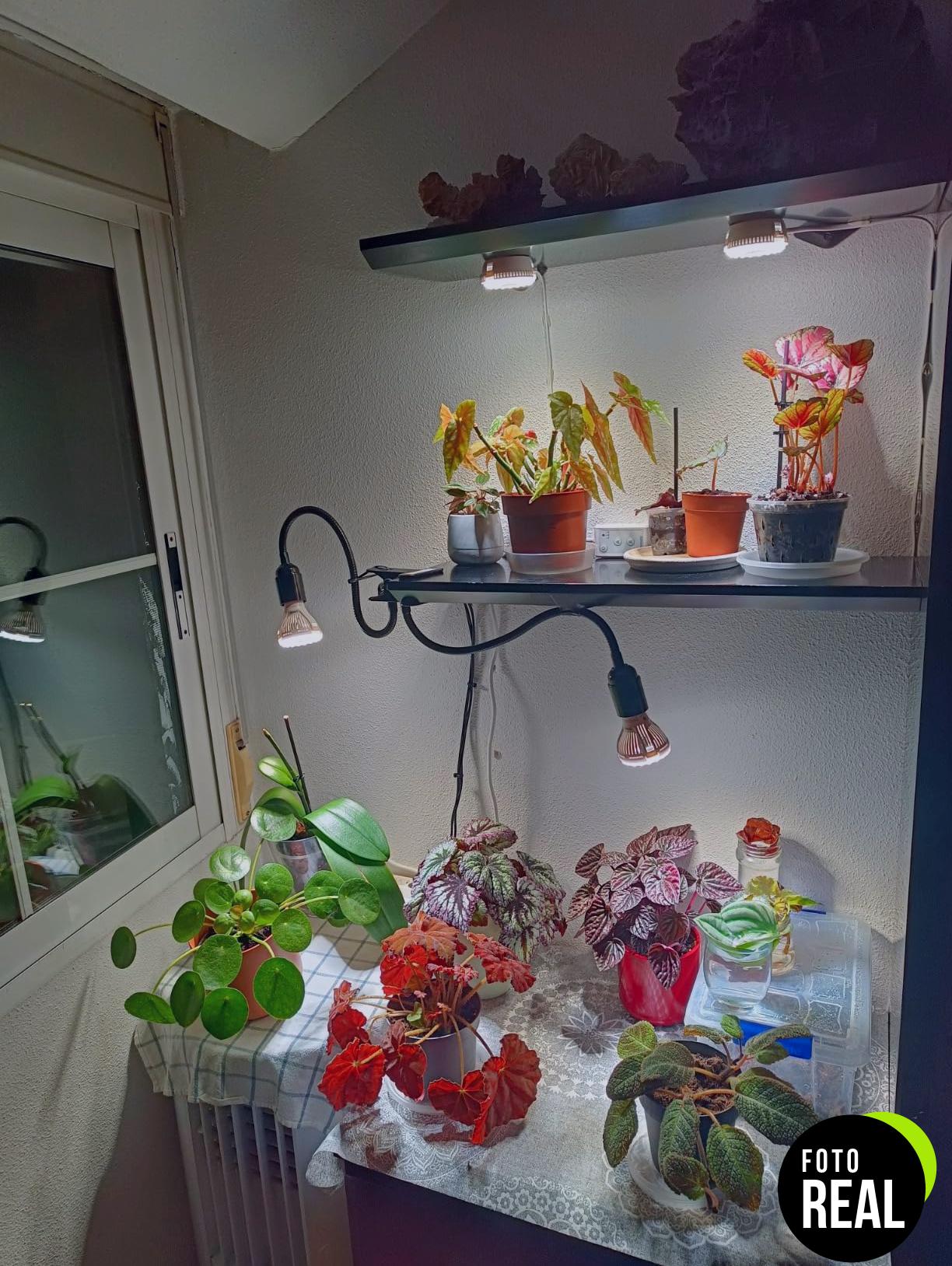 sansi-lampara-cultivo-300w-espectro-completo-foto-1