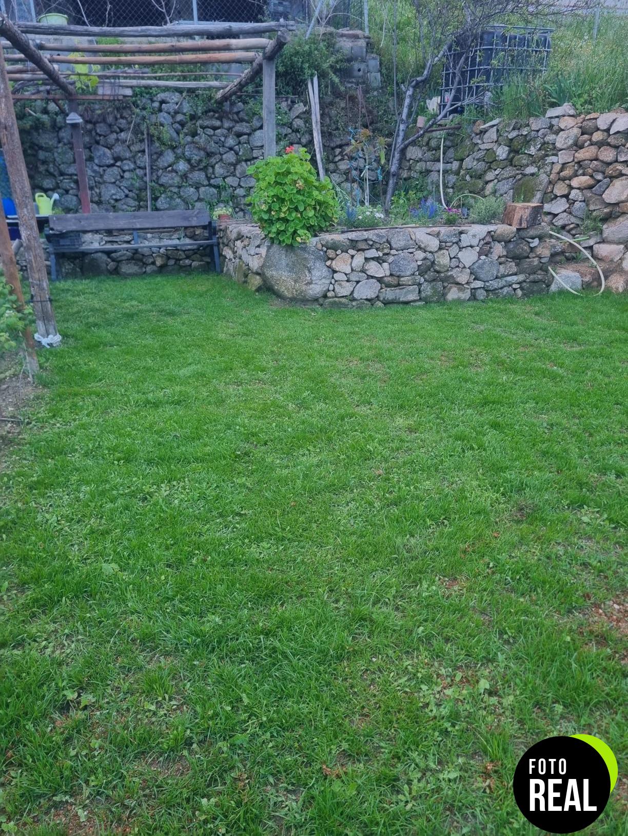 semillas-cesped-compo-1kg-50m2-foto-1