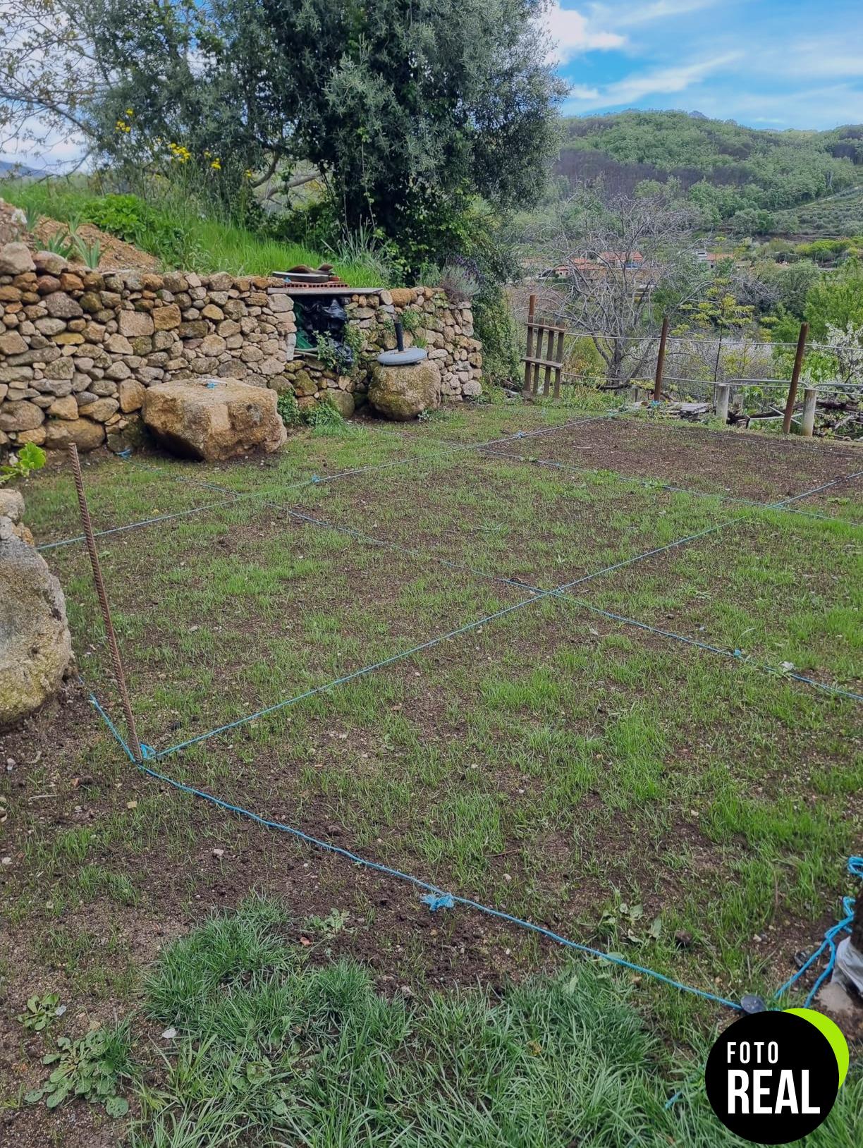 semillas-cesped-compo-1kg-50m2-foto-2