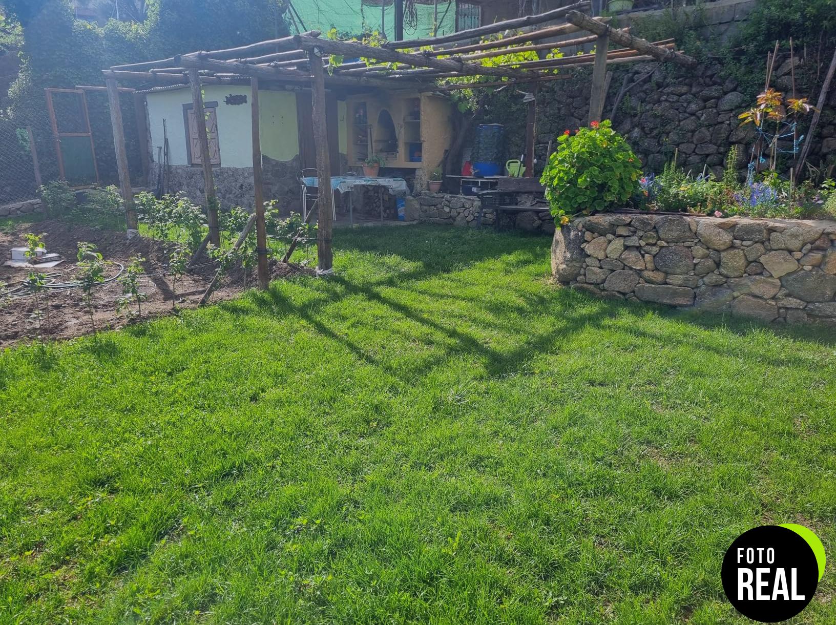 semillas-cesped-compo-1kg-50m2-foto-3