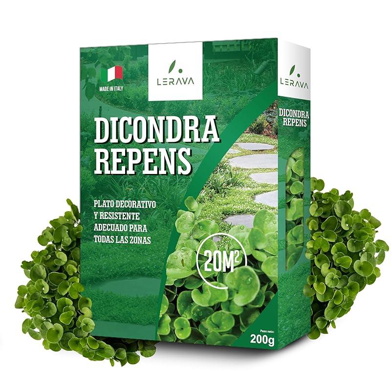 Mi opinión sobre las semillas de Dichondra LERAVA® para 20m².
