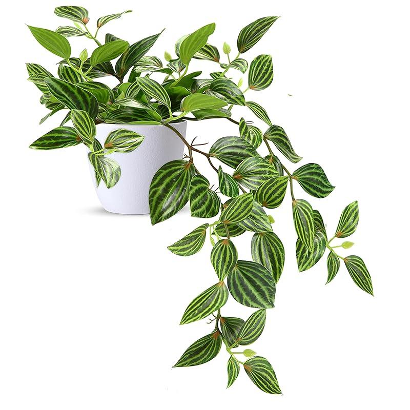 Mi opinión sobre las plantas artificiales SOGUYI: ¿Realmente realistas?