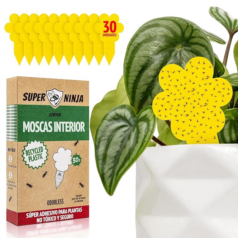 Mi opinión sobre las trampas Super Ninja para plantas antimosquitos.