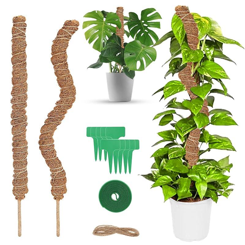 Mi opinión sobre los Tutores Talifoca para Plantas: ¿merecen la pena?