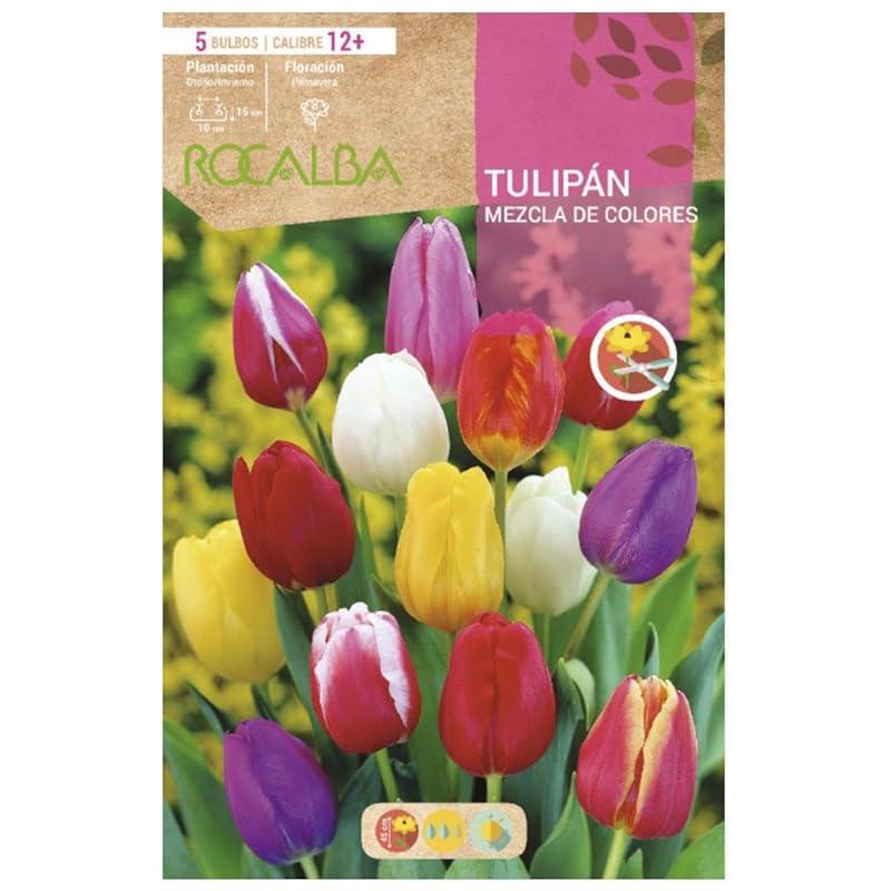 Mi opinión sobre el Bulbo Tulipán 12+ Mezcla de Colores.