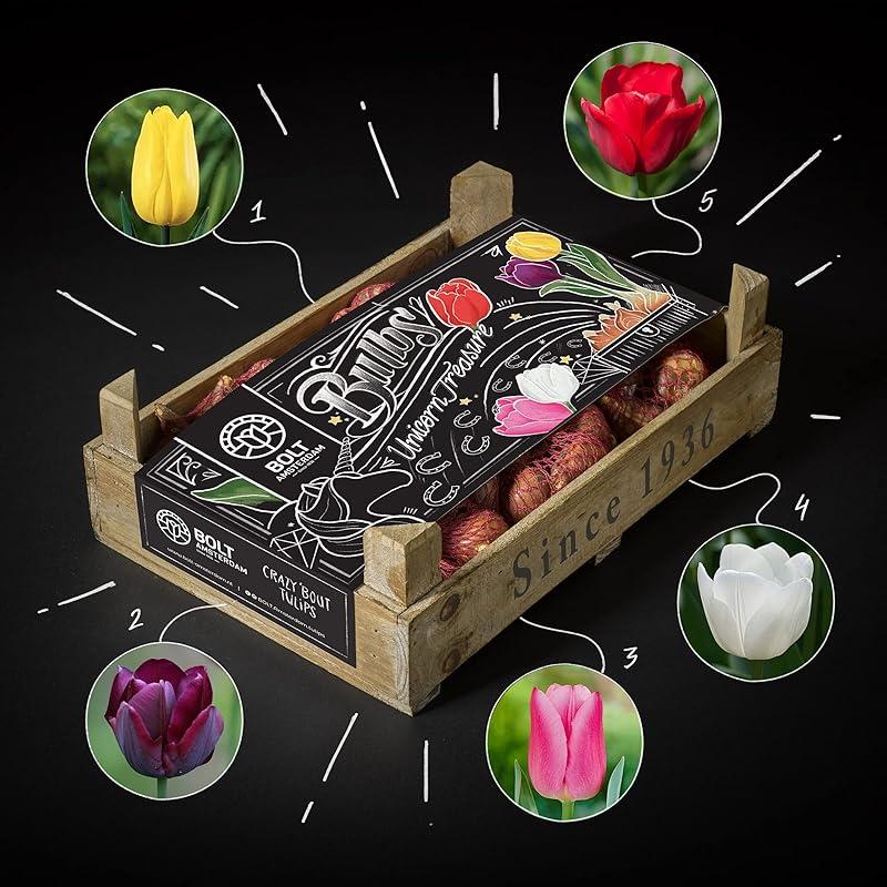 Mi opinión sobre la caja de tulipanes Unicorn Treasure de BOLT Amsterdam.